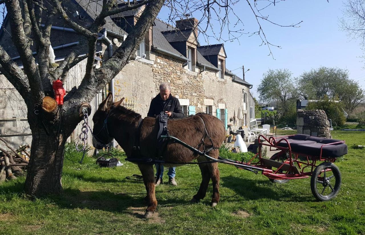 Gite Annarmor Mont St Michel Tremereuc Dış mekan fotoğraf